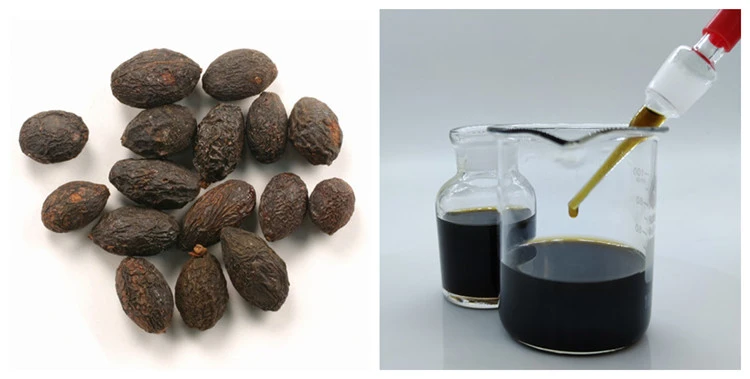 wholesale saw palmetto oil