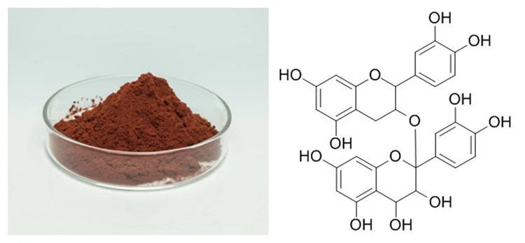 95% Proanthocyanidins Powder and its Chemical Structure