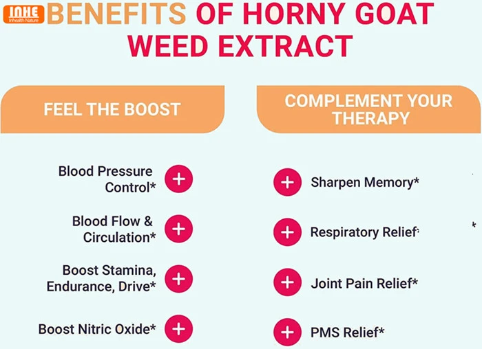 Horny Goat Weed Extract Benefits