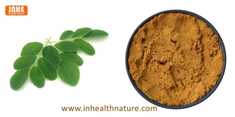 Moringa Leaf and Moringa Extract Powder
