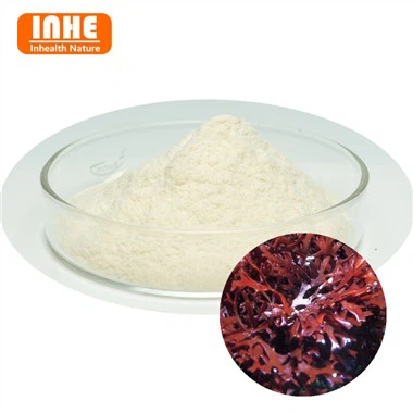 Agar Agar Powder velkoobchod