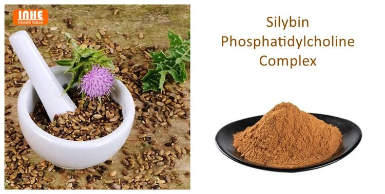 Milk Thistle Seeds and Silybin Phosphatidylcholine Complex