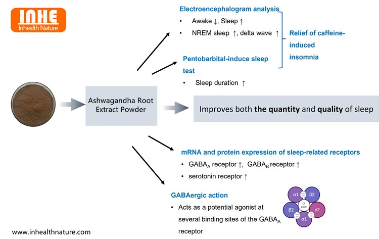 Ready to Drift Off into Dreamland with Ashwagandha Extract