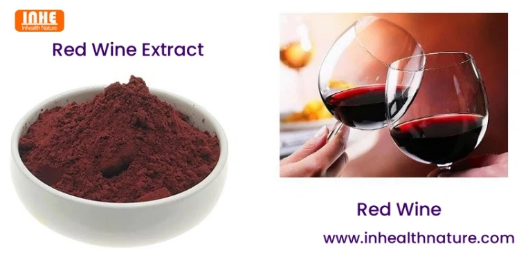 Red Wine vs Red Wine Extract