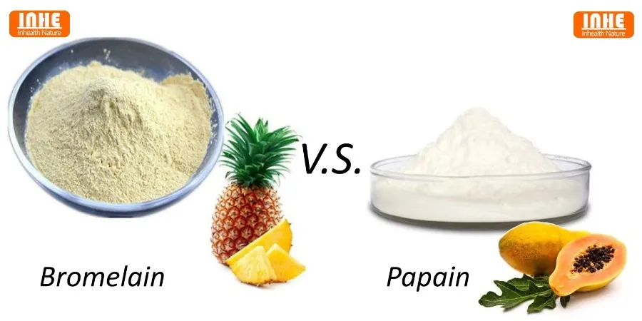 Bromelain vs Papain Bromelain vs Papain