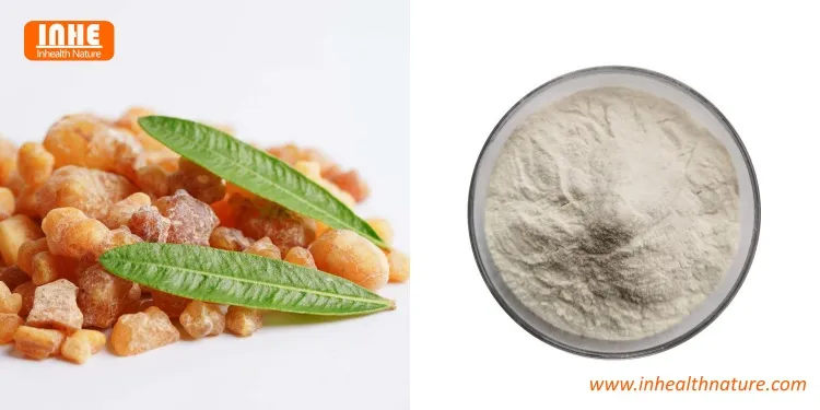 Boswellia Serrata and Boswellia Serrata Extract Boswellia Serrata and Boswellia Serrata Extract