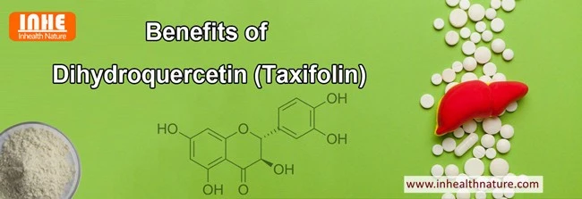 Amzaing Health Benefits of Taxifolin Powder