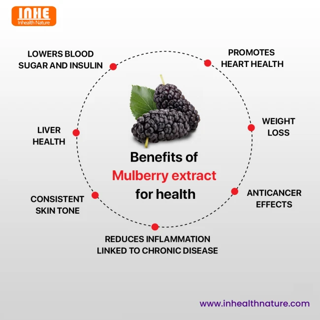 Health Benefits of Mulberry Fruit Powder
