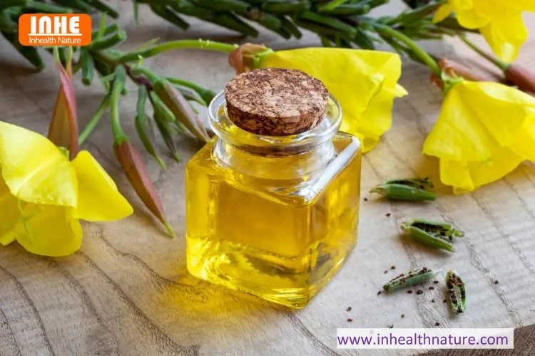 Evening Primrose Oil