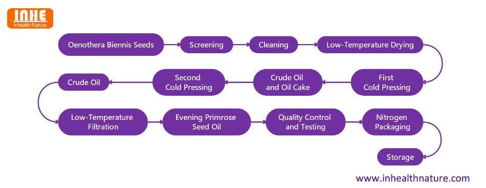 Evening Primrose Seed Oil Flow Chart